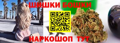 spice Котовск